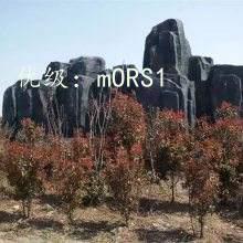 ʧ