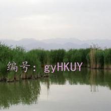 ѧ