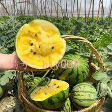 ļ