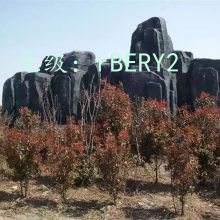 Ա